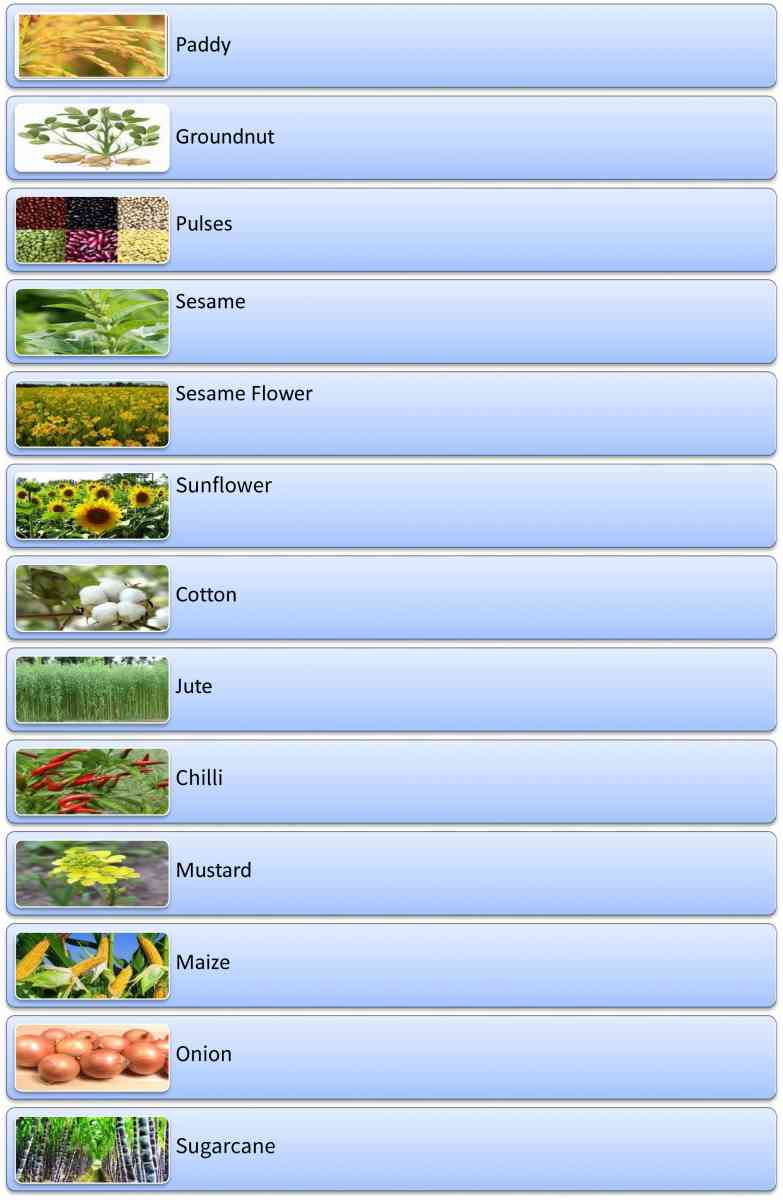 Short and Long Term and Development Loan